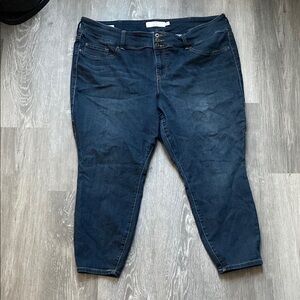 Torrid Women's Blue Jeans
